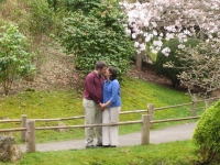 A Kiss in the Tea Garden